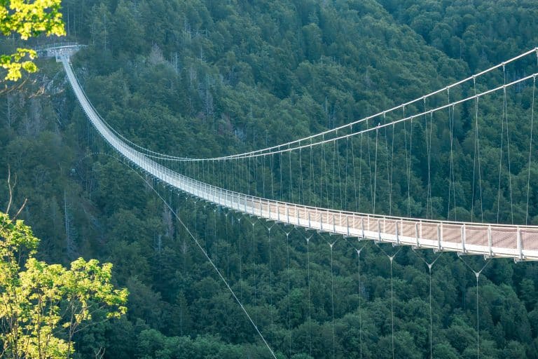 Pont suspendu Blackforestline près de Todtnau au-dessus de la vallée