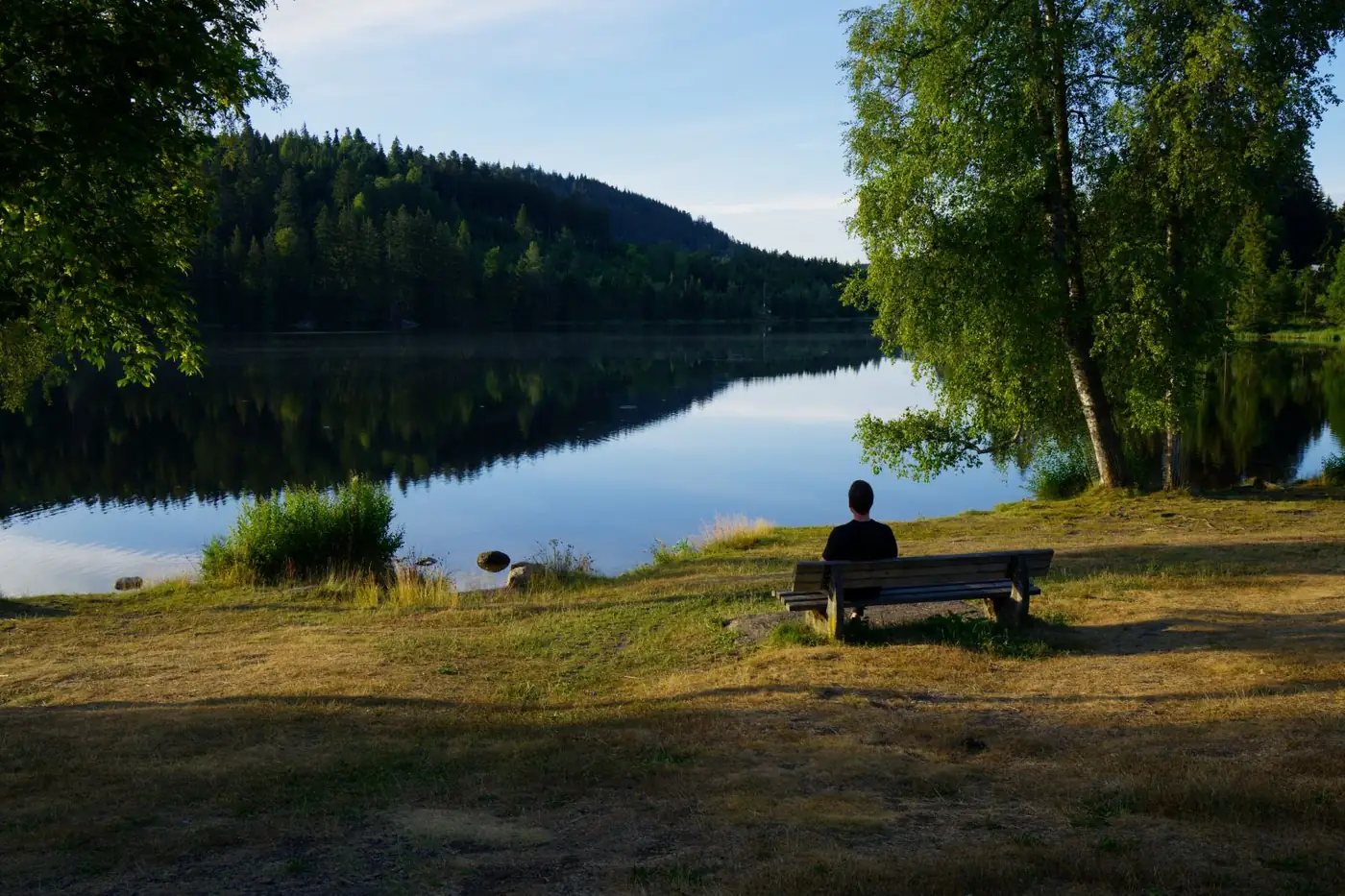 Natur pur im Hochschwarzwald