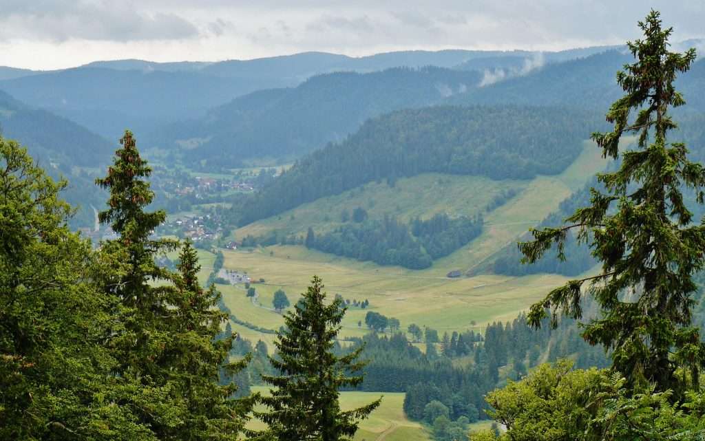 Vue vers le vallon en direction de St. Blasien dans le sud de la Forêt-Noire