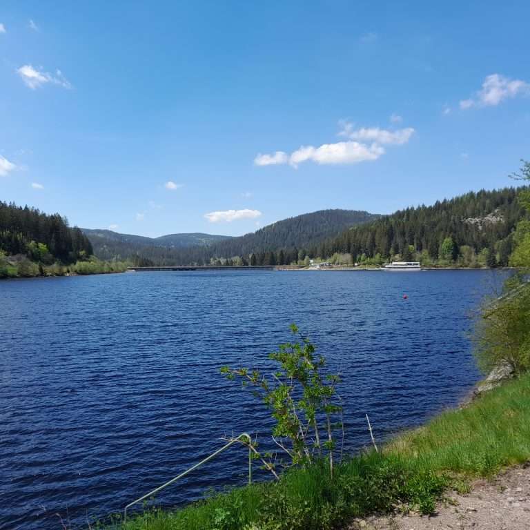 Vue sur le Schluchsee