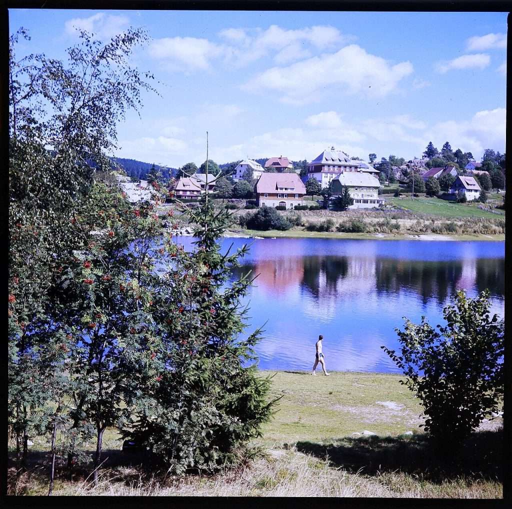 Rive de la baie du Schluchsee