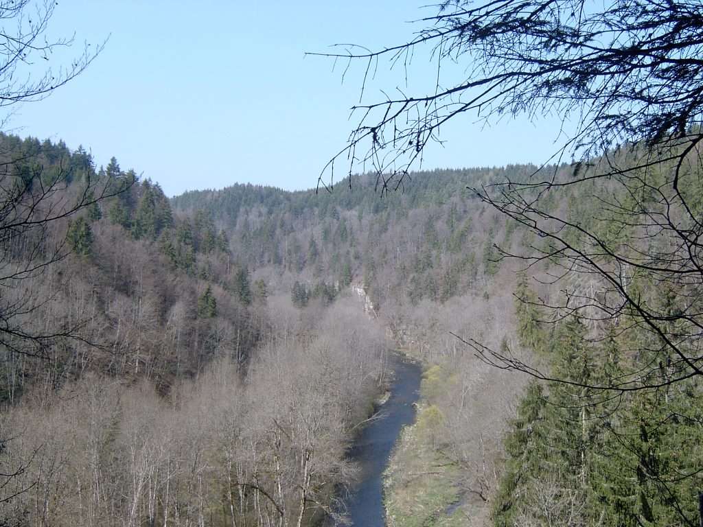 La Wutachschlucht sur le Schluchtensteig
