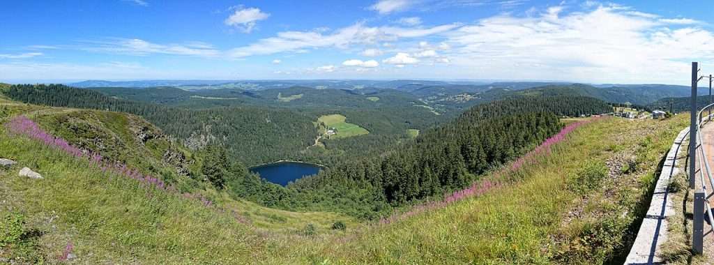Lacs de la Forêt-Noire : les plus beaux lacs de baignade et de randonnée 2 Vue depuis le Seebuck sur le lac Feldsee
