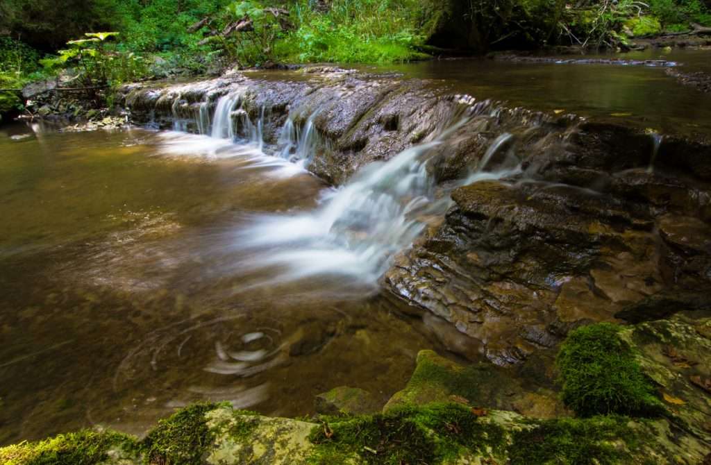 Ruisseau dans la réserve naturelle de la Wutachschlucht